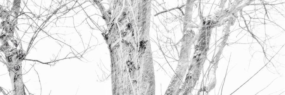 Koverthere's profile banner image