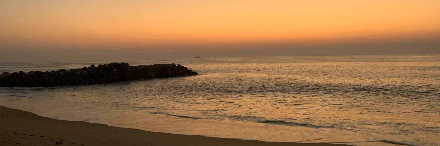 NyaCrisana's profile banner image