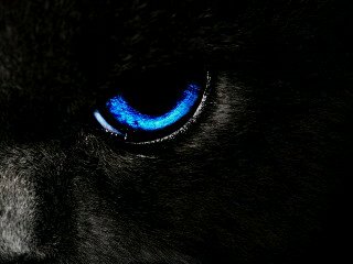 Hadipratamma's profile banner image