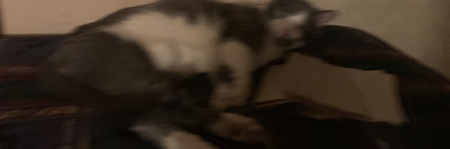 owen3114's profile banner image