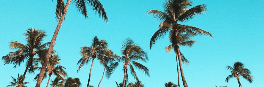 EllyonnaB's profile banner image