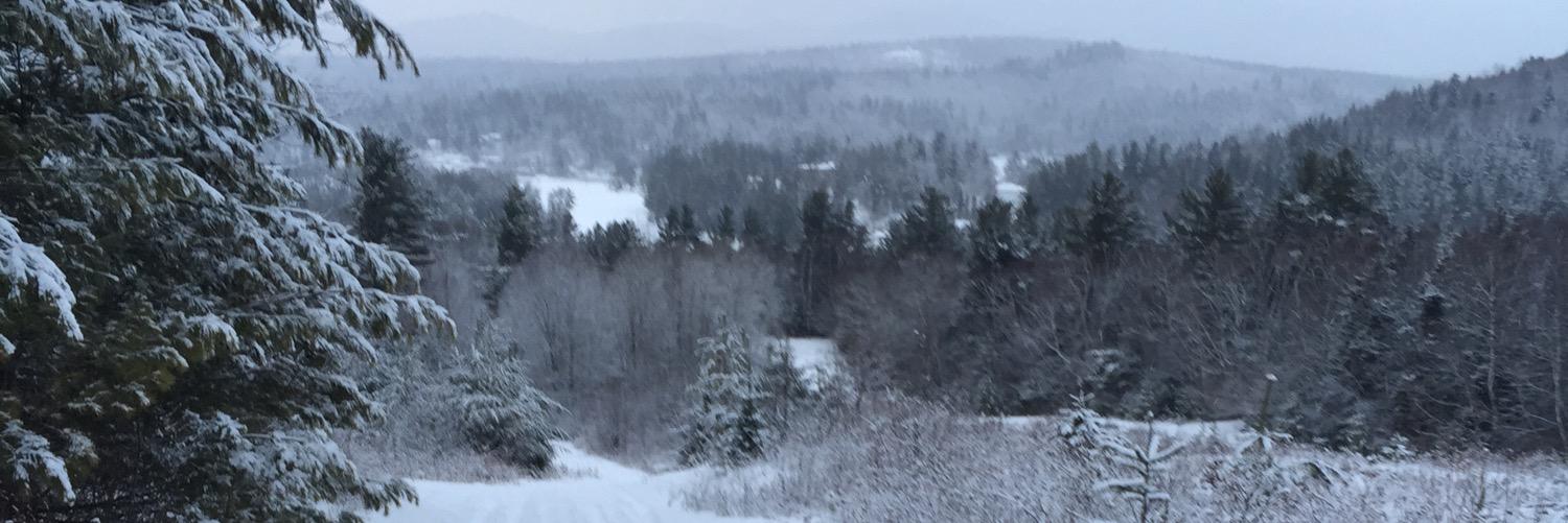 RLinhart15's profile banner image