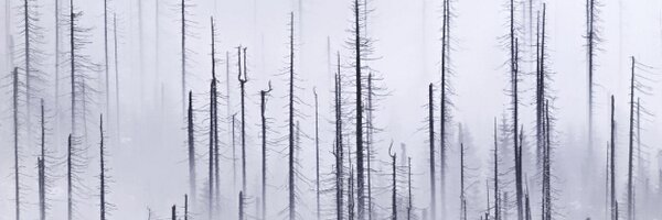 Schoenberger_K Profile Banner