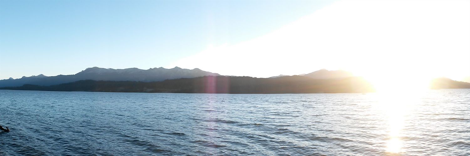 quesomo's profile banner image