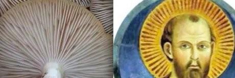 JohnZen3000's profile banner image
