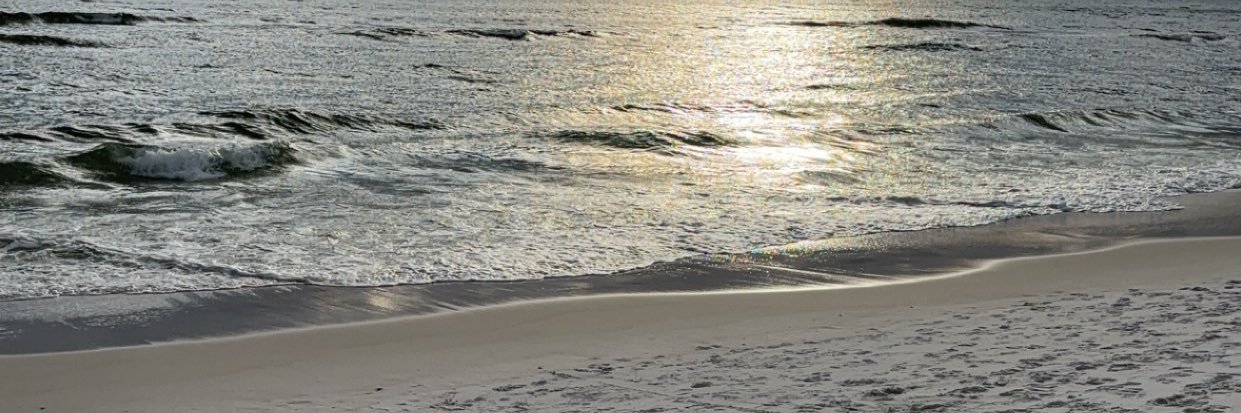 TNev banner