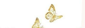 Martinapernuzzi's profile banner image