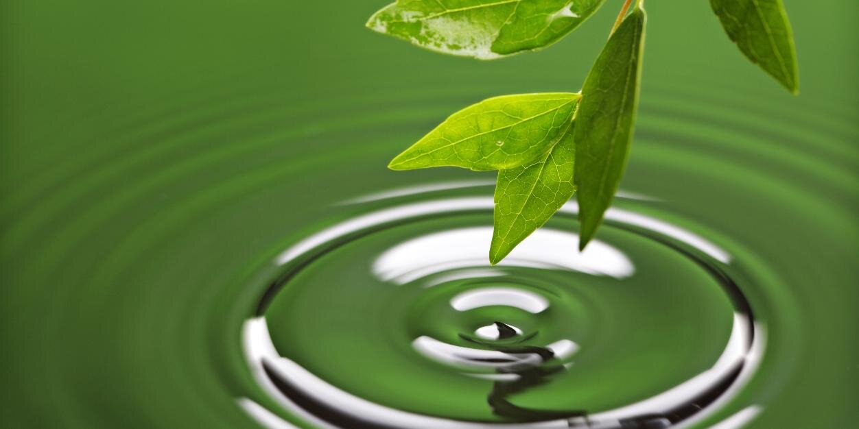 Robin Brothers banner