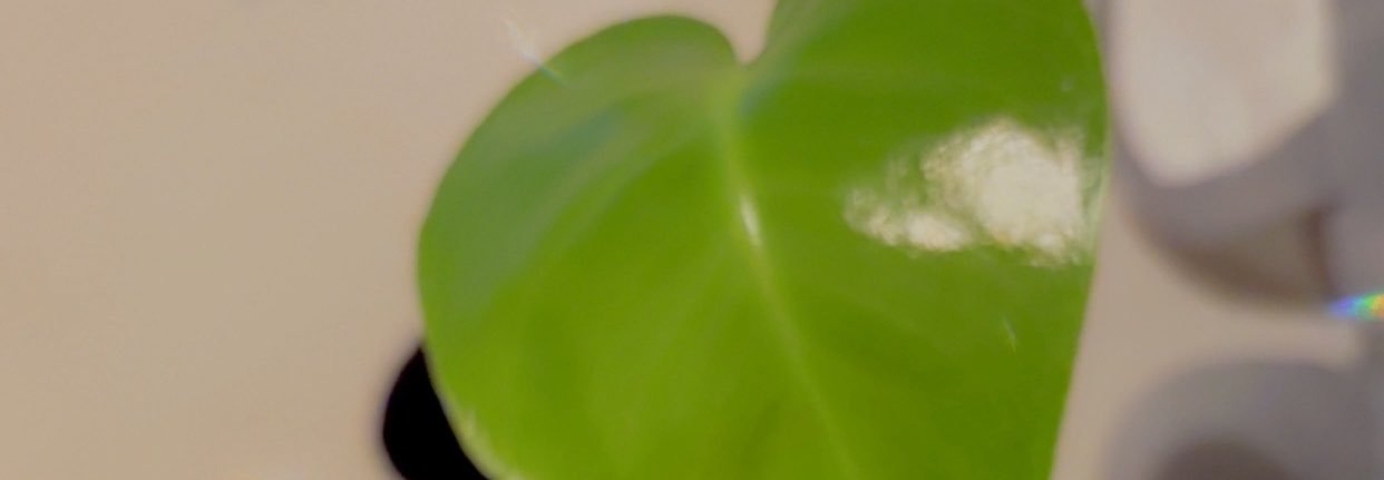 thee_treasure_'s profile banner image