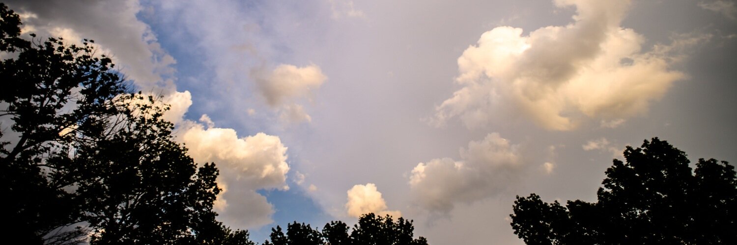 175and20's profile banner image