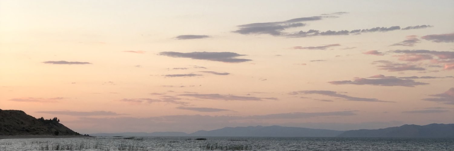 spencey_'s profile banner image