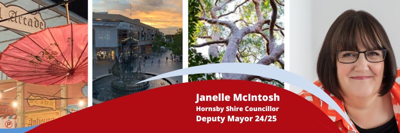 janellemcintosh's profile banner image