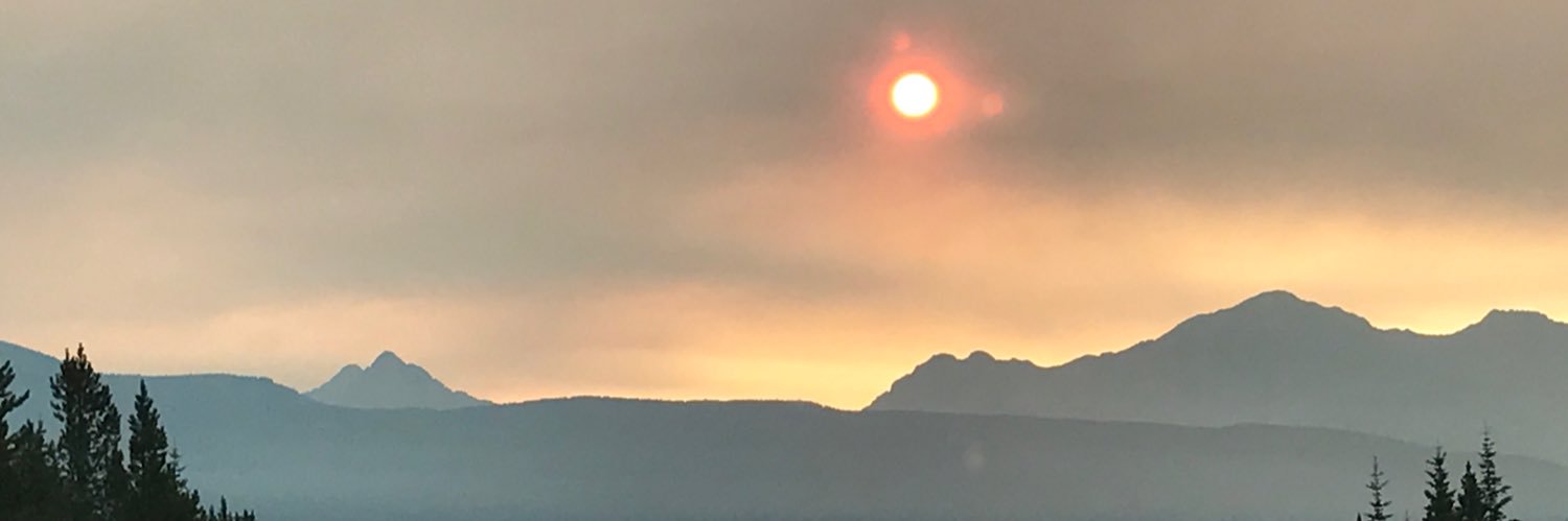 CarolPrest1's profile banner image