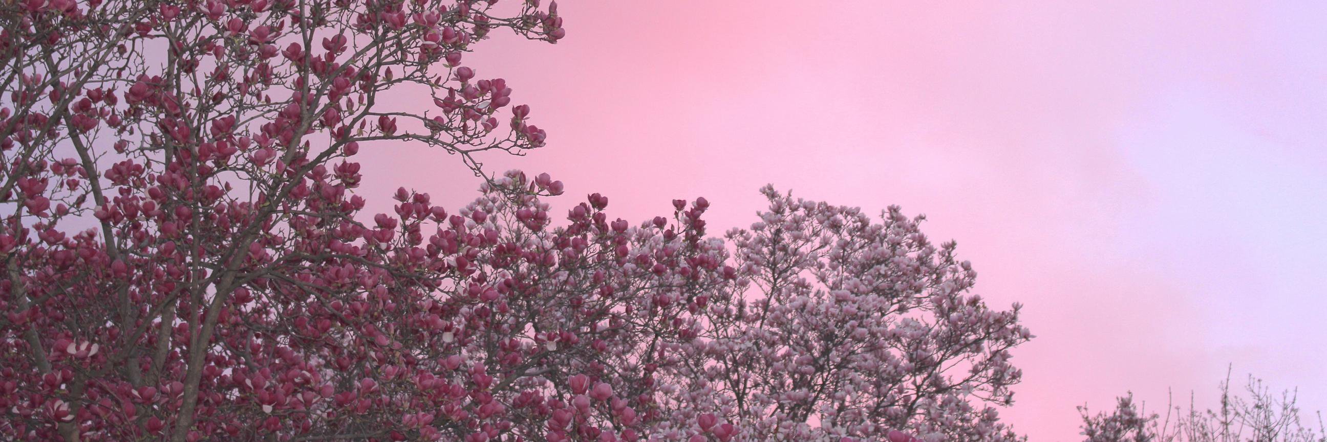 DigitalRN_SIL's profile banner image