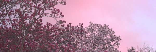 DigitalRN_SIL Profile Banner