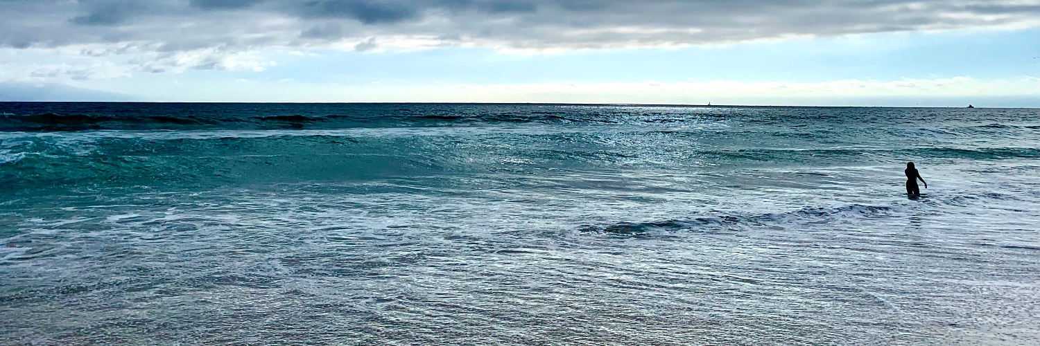 NancyBRose's profile banner image