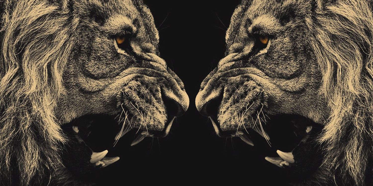 ChelseaLaBrece_'s profile banner image