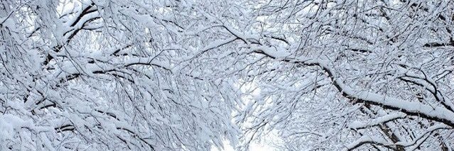 Winter_sky19's profile banner image
