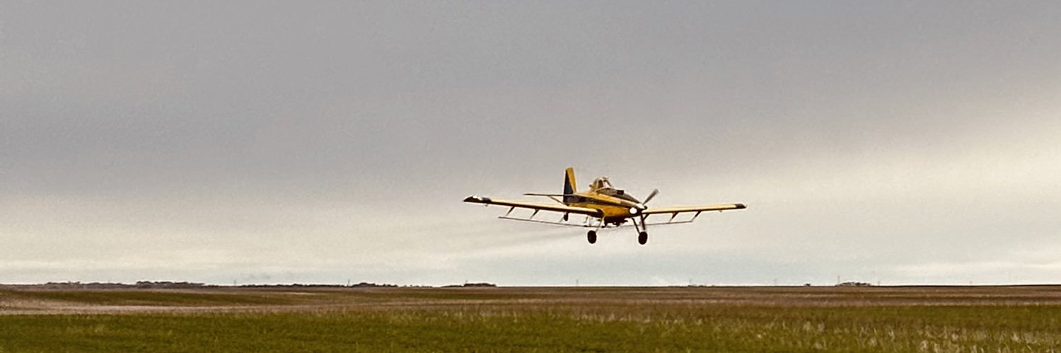 Katie Carefoot banner