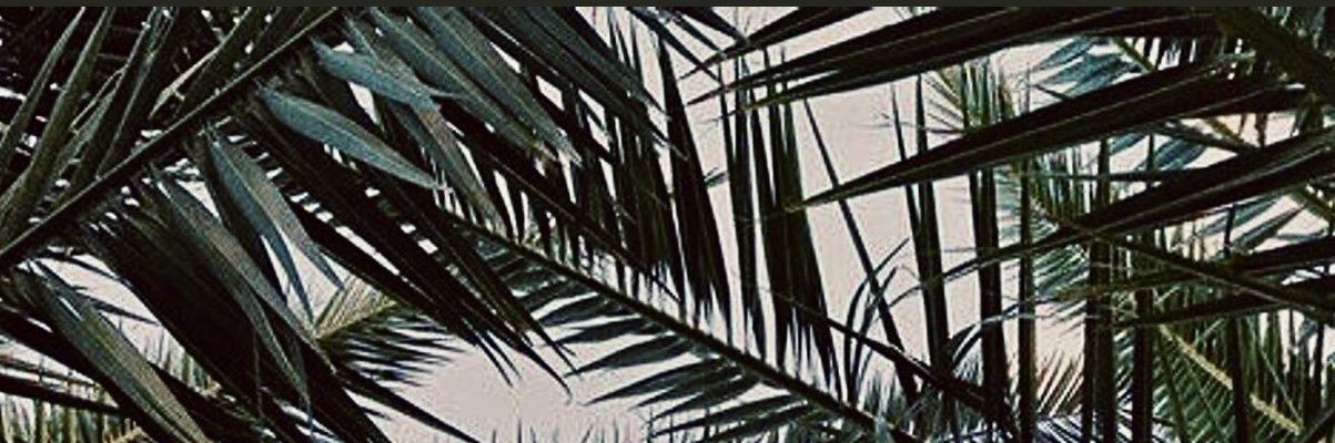 tatorsss's profile banner image