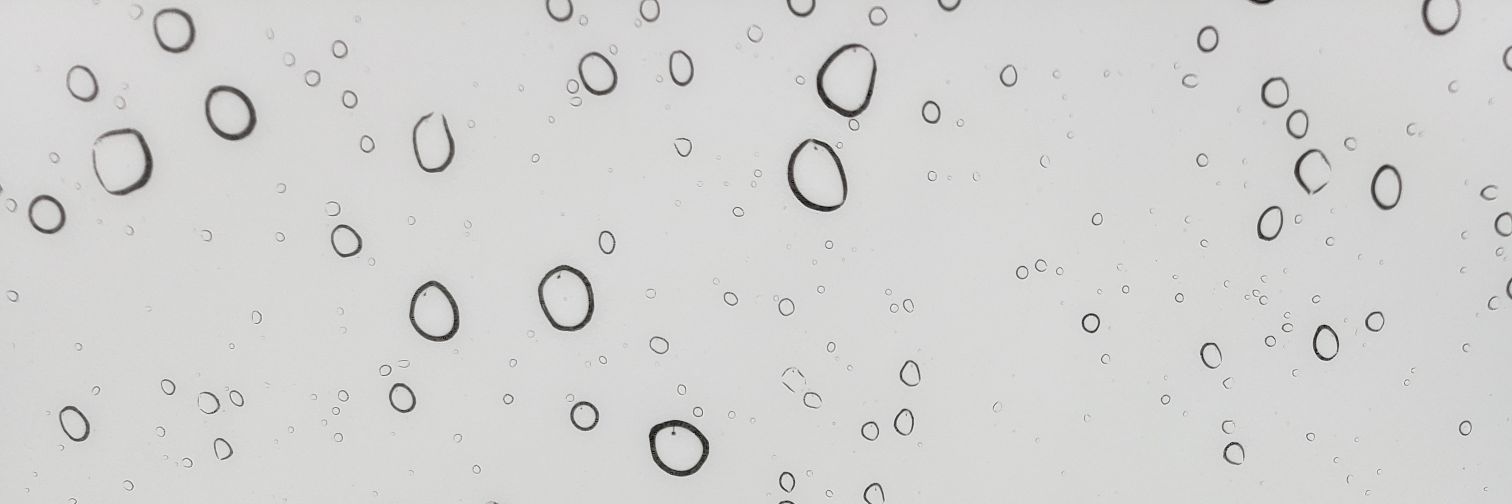 MrFreeBro's profile banner image