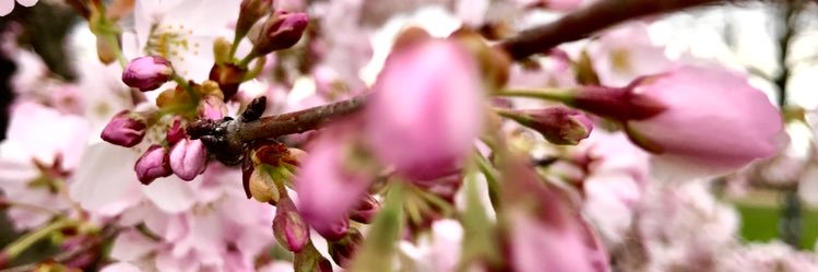 cmarielawrence's profile banner image