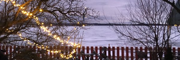 MairaSPinto Profile Banner