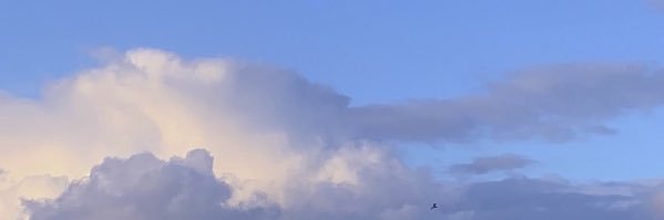 vin3587's profile banner image