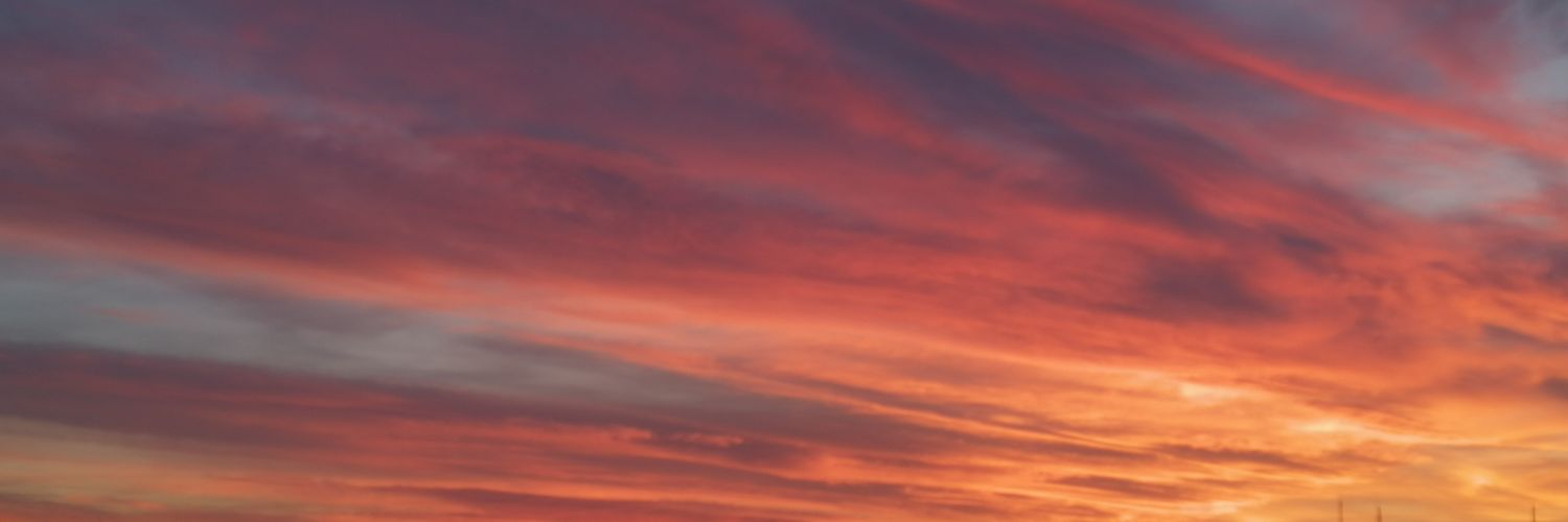 mi_me_mi's profile banner image