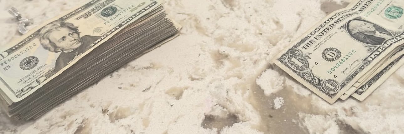 Lachris__'s profile banner image