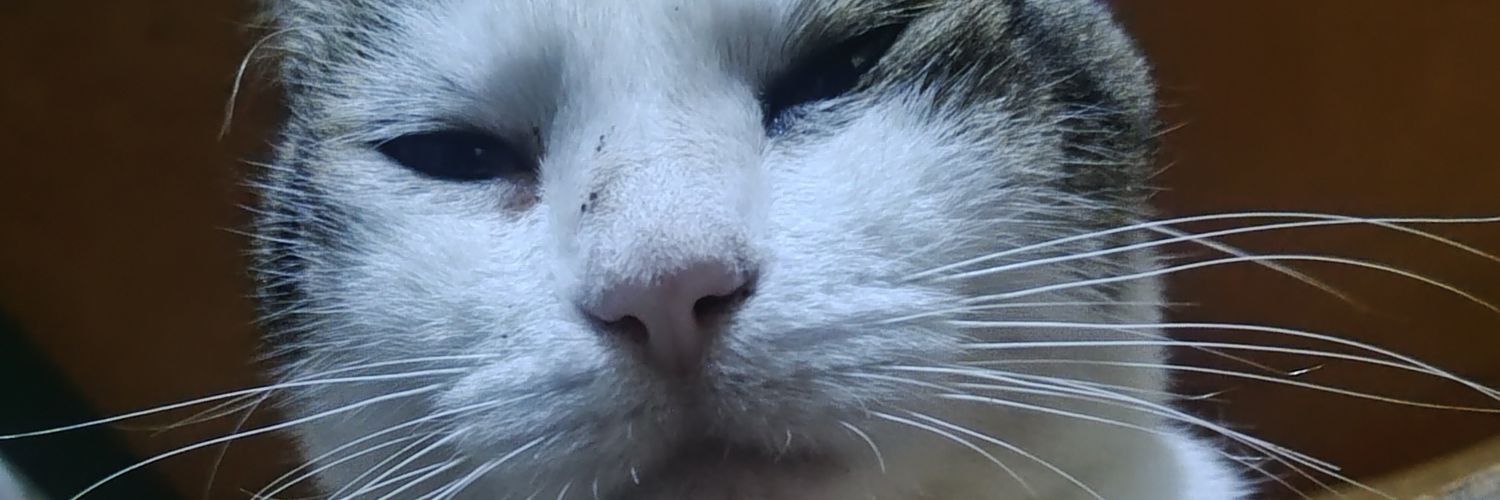 _andrajosa's profile banner image