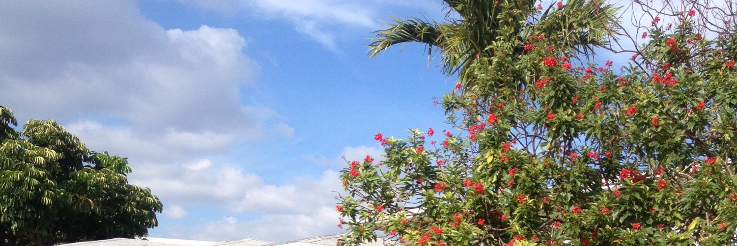 Mx199x's profile banner image