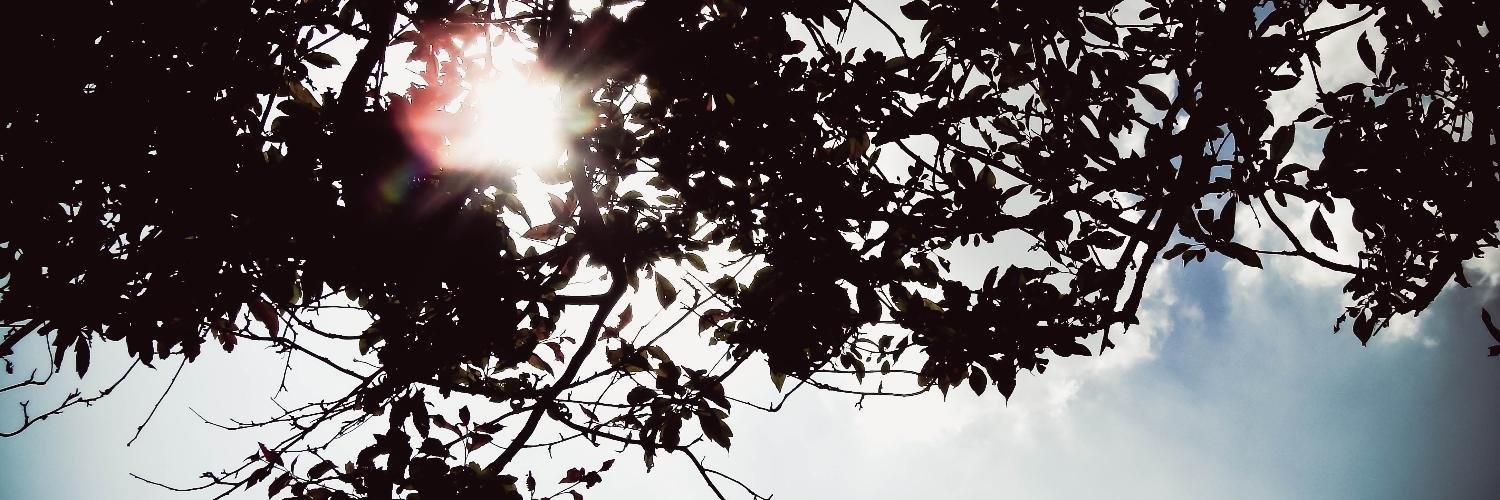 RmnLnn's profile banner image