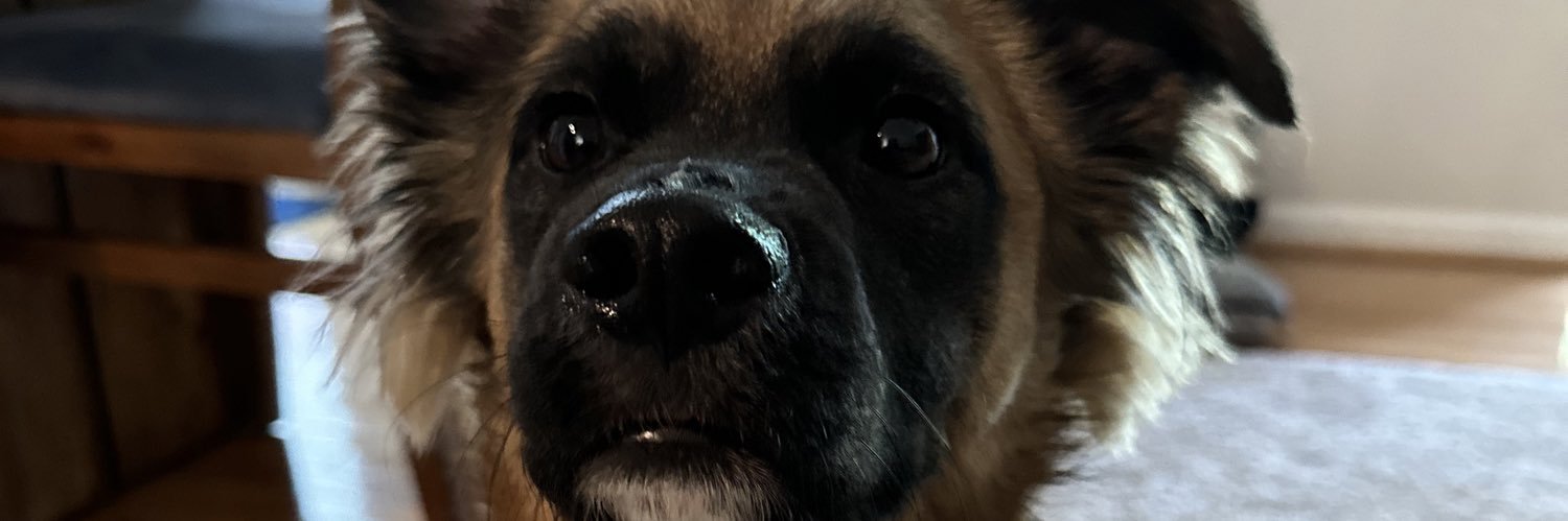 JaysterBurn's profile banner image