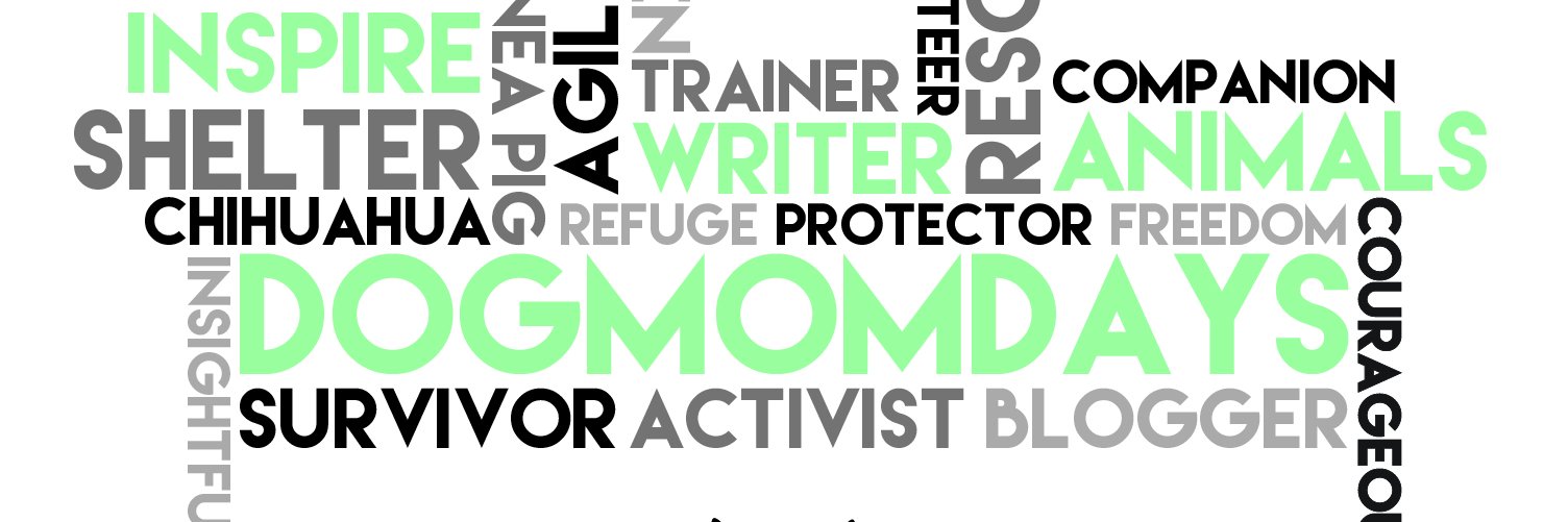 DogMomDays's profile banner image