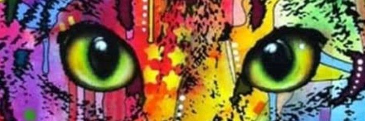 klaustera's profile banner image
