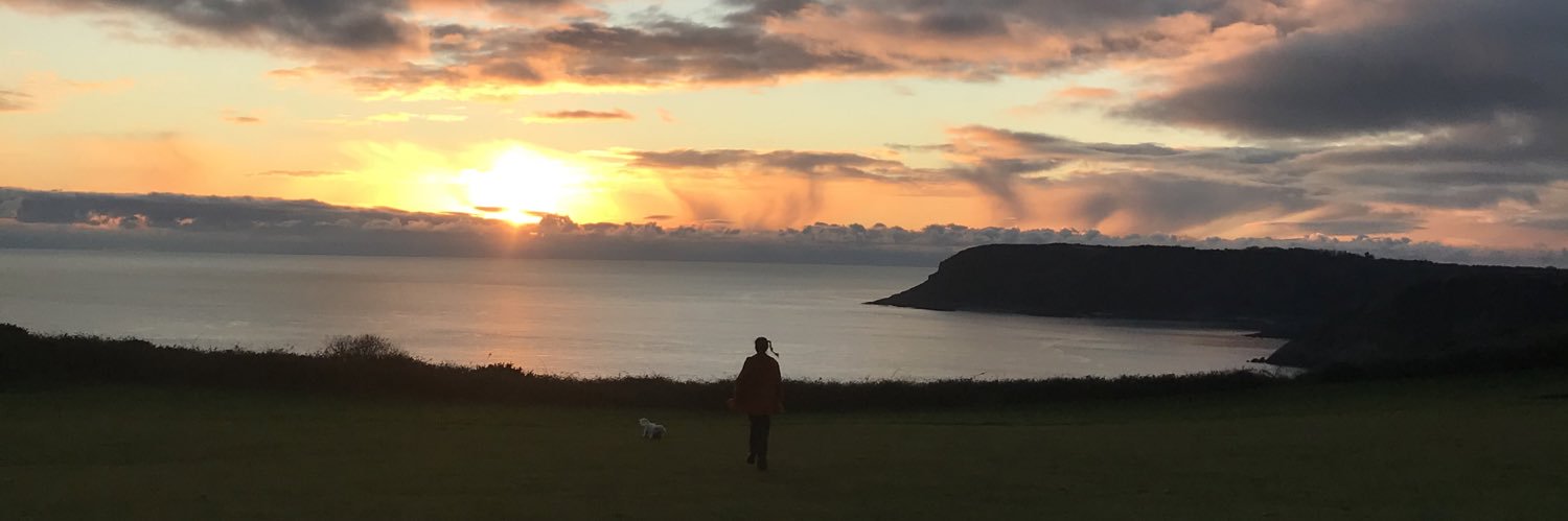 dans1616's profile banner image