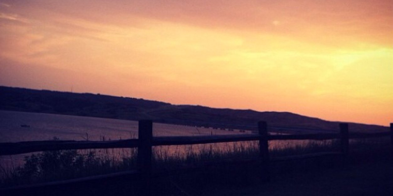 sydneyrech's profile banner image