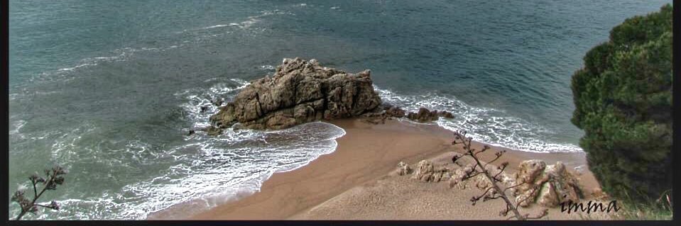 imma  ||*|| #TotsSomCDR banner