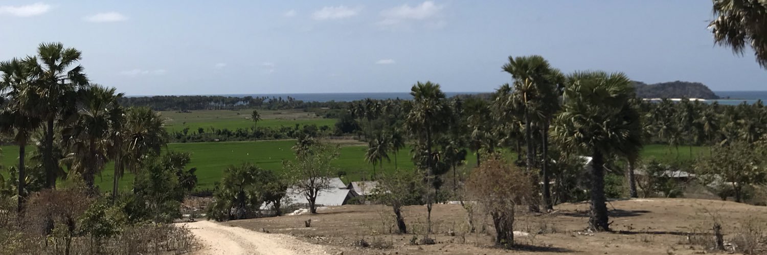 cuandrasari's profile banner image