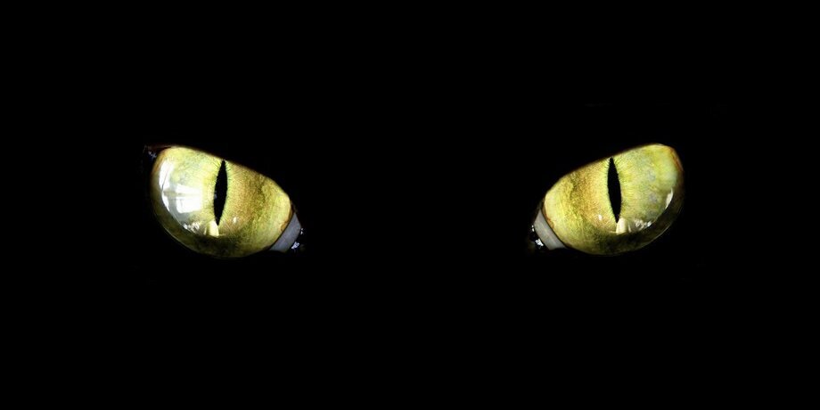 ponram123's profile banner image