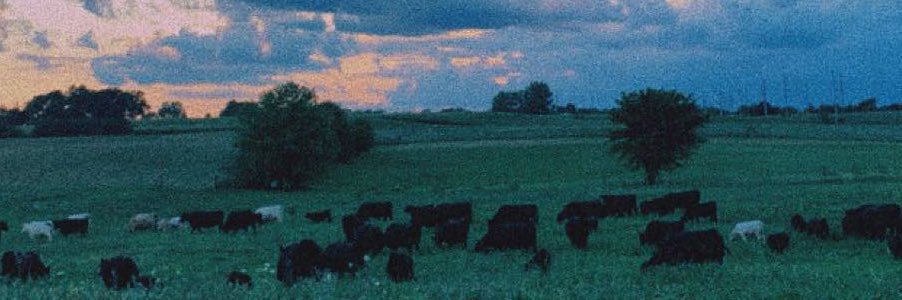 sydboroff's profile banner image