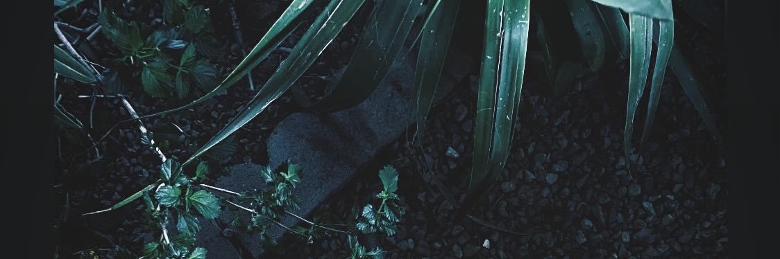 Wolly_Wop's profile banner image
