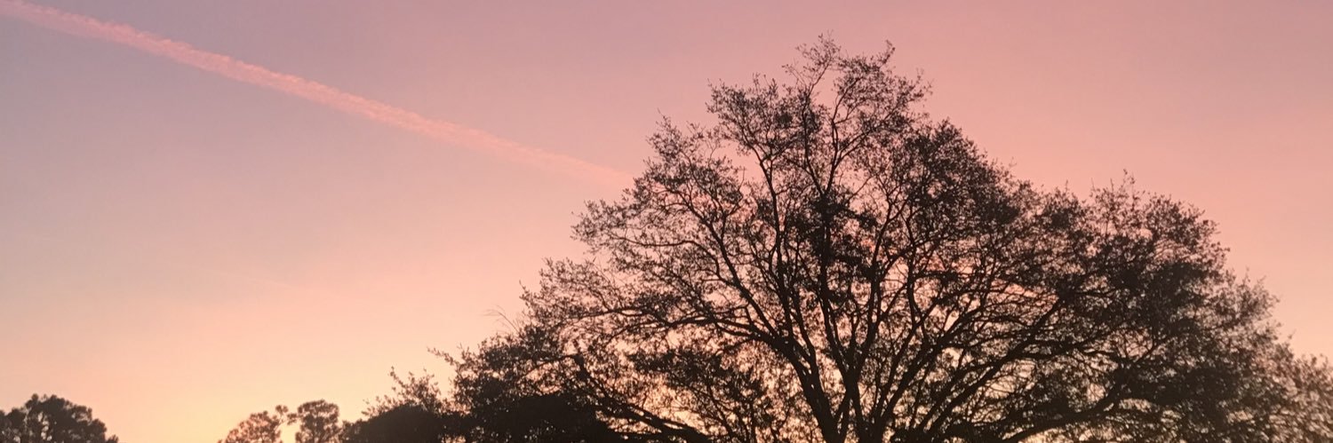 ruxcc's profile banner image