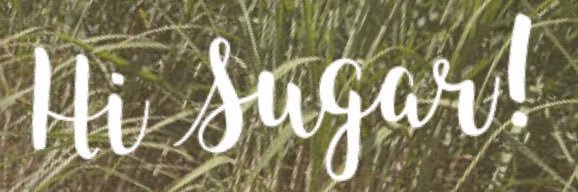 Jansnelson's profile banner image