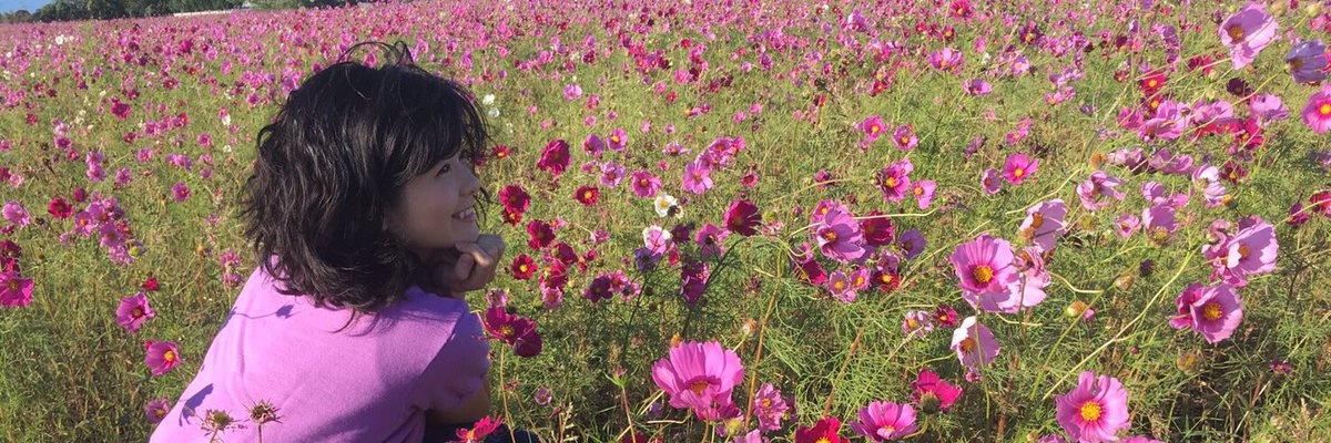 めいなか banner