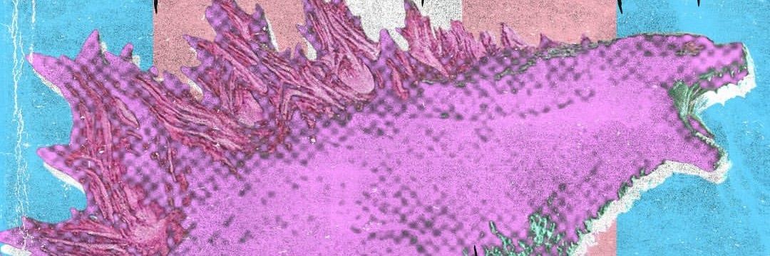 Avalon 🏳️‍⚧️ banner