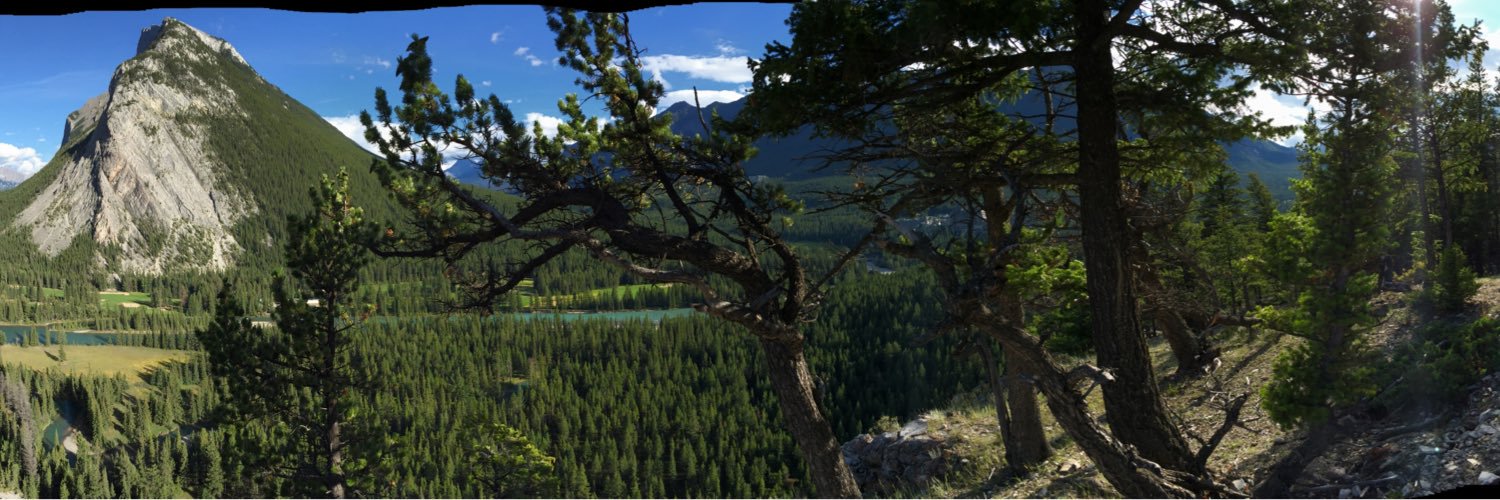 bjgrommesh's profile banner image