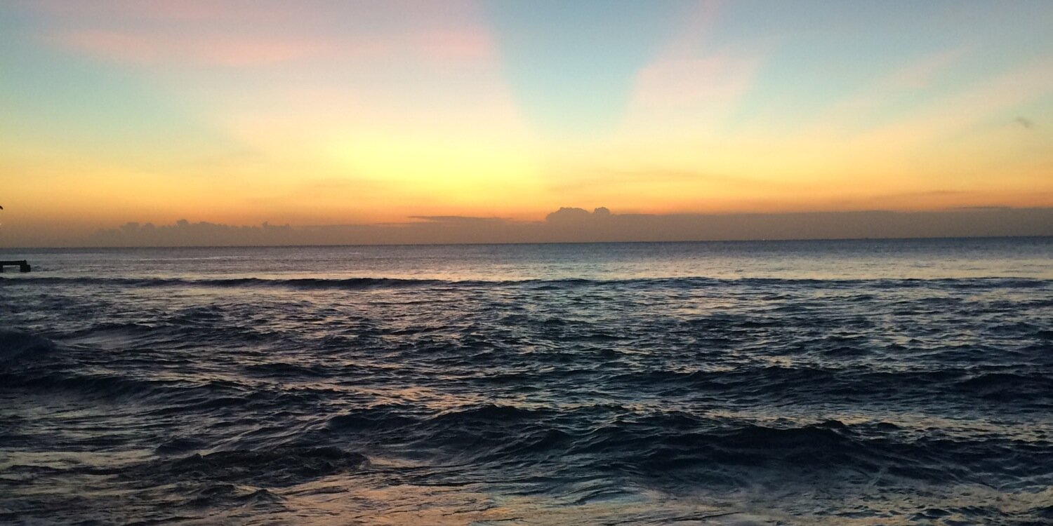 bdev__'s profile banner image