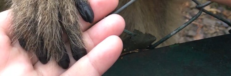me_r11's profile banner image
